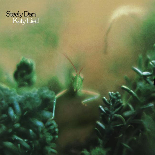 The Katy Lied Album