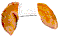 opencooksmall.gif (1493 bytes)