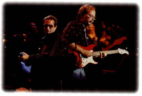 Steely Dan